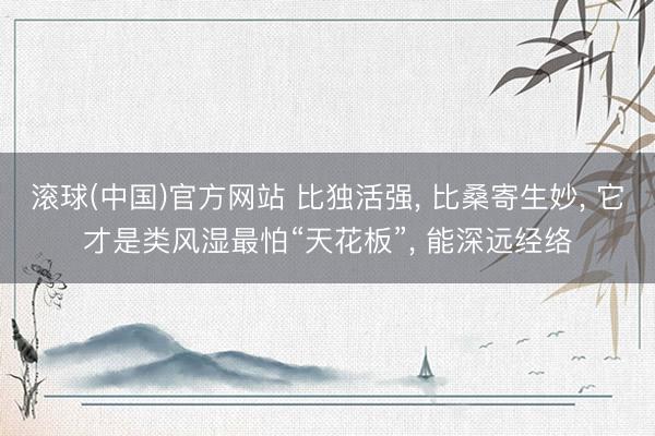 滚球(中国)官方网站 比独活强， 比桑寄生妙， 它才是类风湿最怕“天花板”， 能深远经络