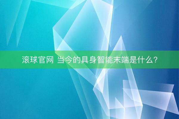 滚球官网 当今的具身智能末端是什么?