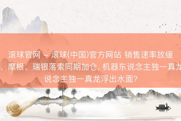 滚球官网 - 滚球(中国)官方网站 销售速率放缓28%， 高盛、摩根、瑞银落索同期加仓， 机器东说念主独一真龙浮出水面?
