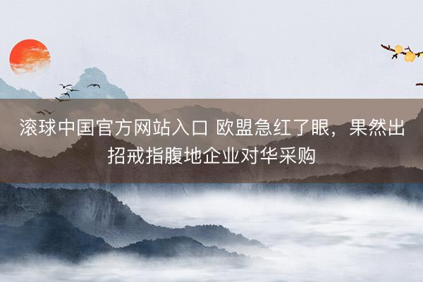 滚球中国官方网站入口 欧盟急红了眼，果然出招戒指腹地企业对华采购