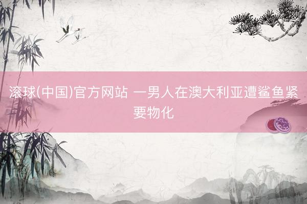 滚球(中国)官方网站 一男人在澳大利亚遭鲨鱼紧要物化