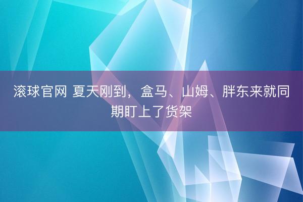 滚球官网 夏天刚到，盒马、山姆、胖东来就同期盯上了货架