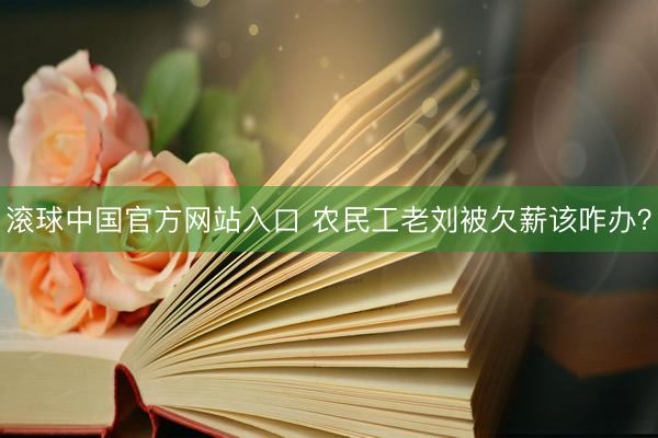 滚球中国官方网站入口 农民工老刘被欠薪该咋办?