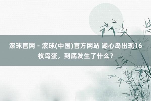 滚球官网 - 滚球(中国)官方网站 湖心岛出现16枚鸟蛋，到底发生了什么？