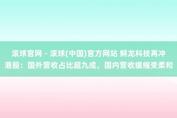 滚球官网 - 滚球(中国)官方网站 鲟龙科技再冲港股：国外营收占比超九成，国内营收缓缩受柔和